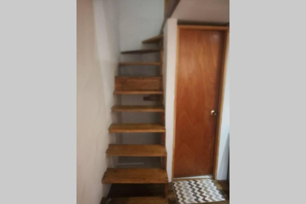 Parrot House San Antonio Apartman Cali Kültér fotó