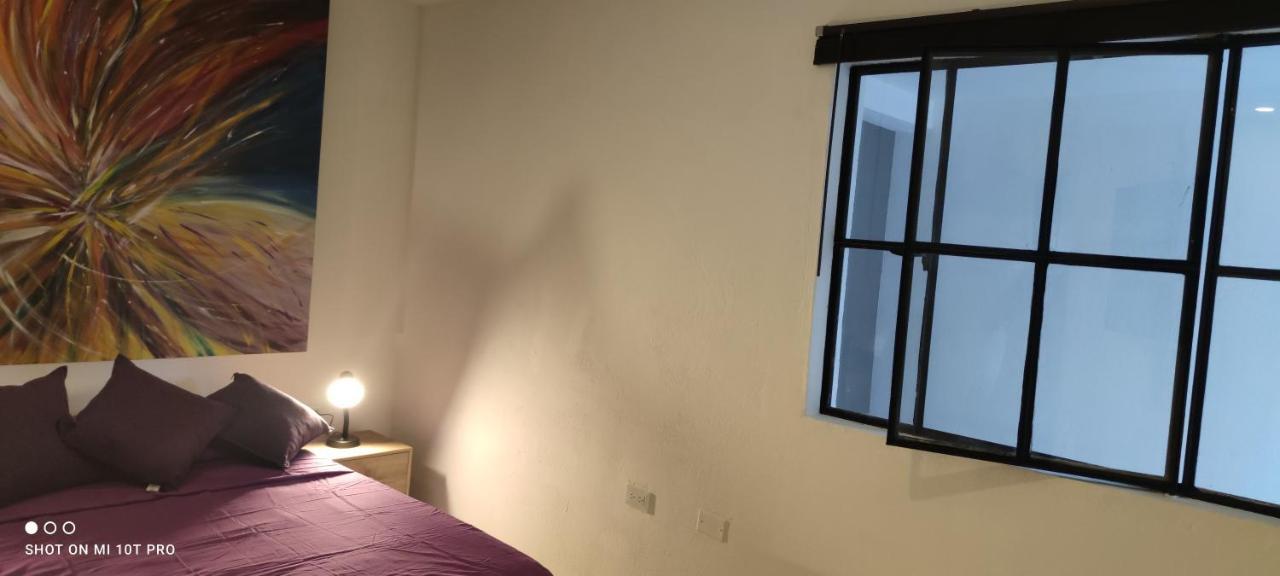 Parrot House San Antonio Apartman Cali Kültér fotó